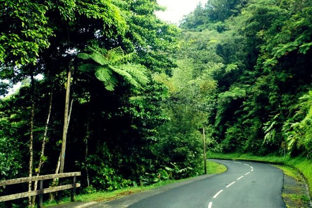 Route de la Trace, Martinique