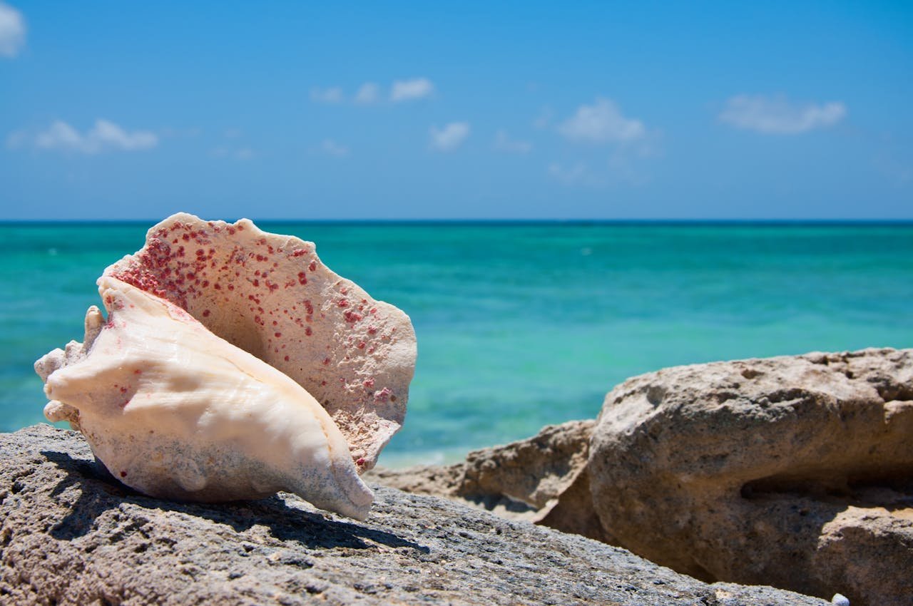 best time to visit turks caicos